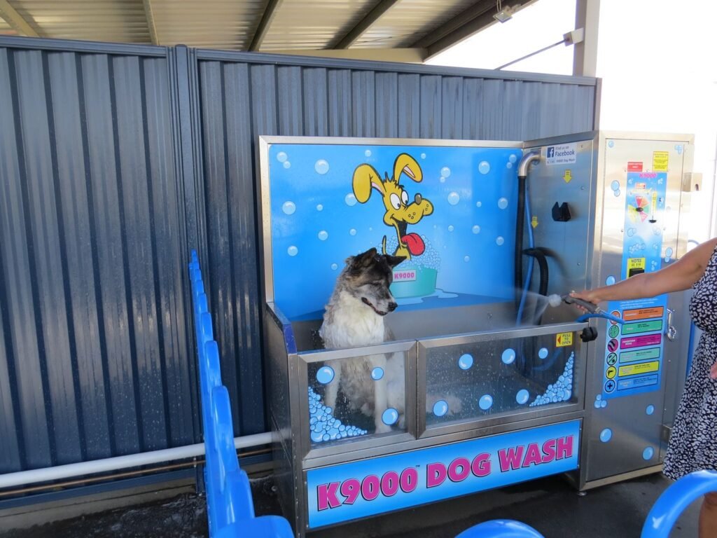 Dog being washed in the undercover K9000 dog wash at Extreme Clean Pakenham
